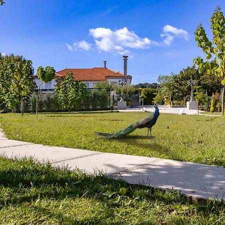 Villam Vale Da Estrela Гимарайнш